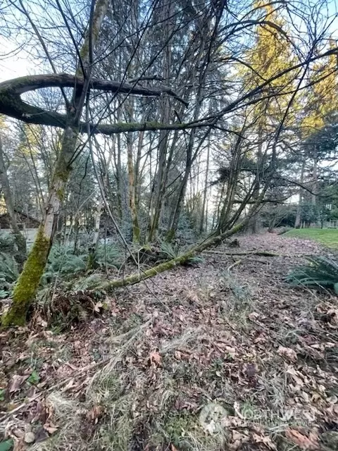 211 Tramp Harbor Rd, Vashon, WA 98070