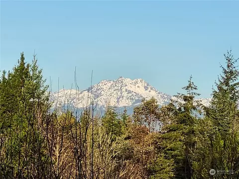 980 E Alta Dr, Belfair, WA 98528