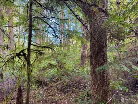 1085 N Lake Cushman Rd, Hoodsport, WA 98548