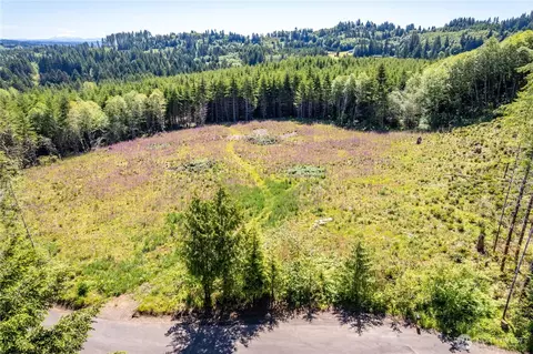 0 Hunter Rd, Longview, WA 98632 photo 1