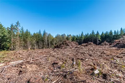 0 Hunter Rd, Longview, WA 98632 photo 14