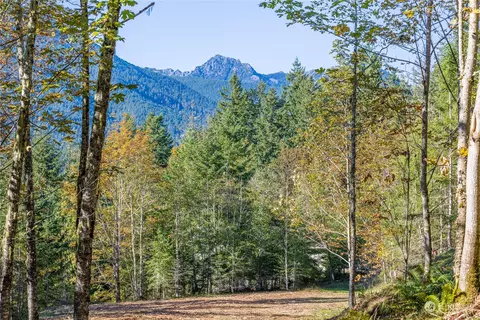 0 Nka Mt Pleasant Rd, Port Angeles, WA 98362