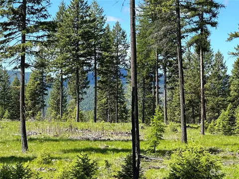 0 Lot 8 Sheridan Rd, Republic, WA 99166