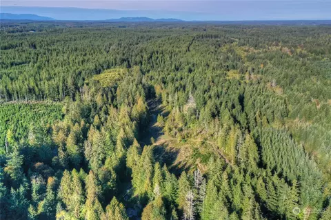 1360 E Thomas Rd, Grapeview, WA 98546 photo 10