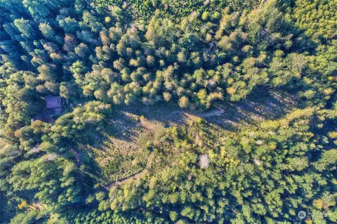 1360 E Thomas Rd, Grapeview, WA 98546 photo 8