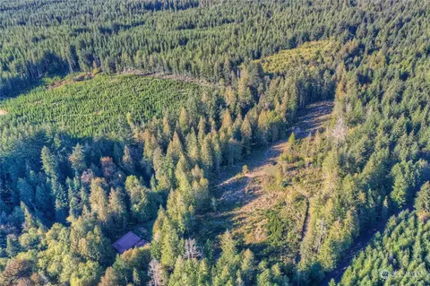1360 E Thomas Rd, Grapeview, WA 98546 photo 3