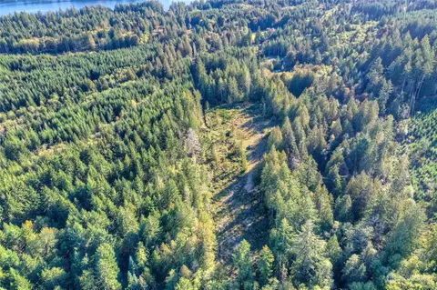 1360 E Thomas Rd, Grapeview, WA 98546 photo 9