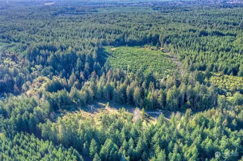 1360 E Thomas Rd, Grapeview, WA 98546 photo 4