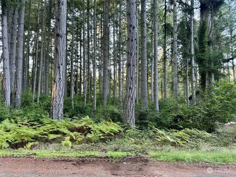 11123 110th St, Anderson Island, WA 98303