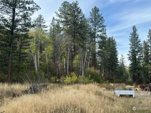 Exterior - 695 Twisp- Carlton Rd, Twisp, WA 98856 photo 11 of 21