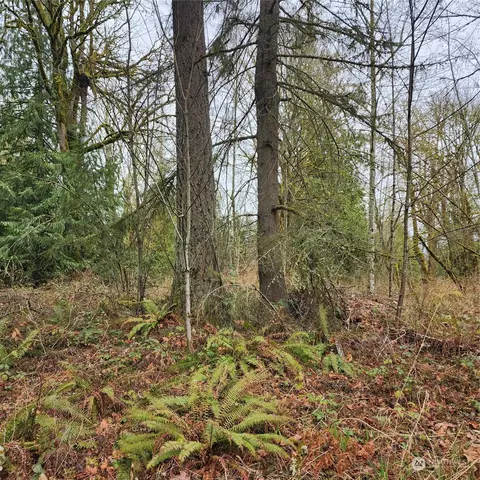 0 Vacant Land, Maple Valley, WA 98038