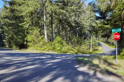 10423 Lake Josephine Blvd, Anderson Island, WA 98303