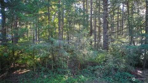 10217 Eckenstam Johnson Rd, Anderson Island, WA 98303