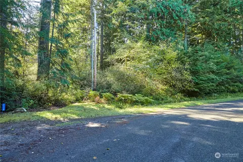 11114 106th St, Anderson Island, WA 98303