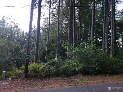 91 N Colony Surf Dr, Lilliwaup, WA 98555