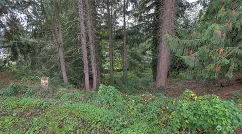 Exterior - 23735 SE 471 St, Enumclaw, WA 98022 photo 7 of 9