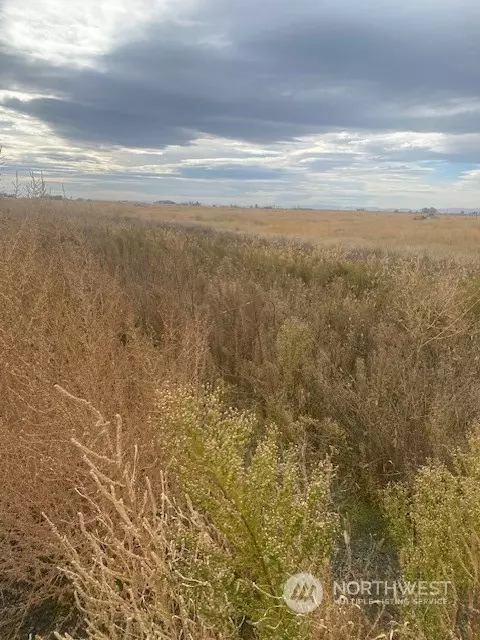 7033 Road 10 NW, Ephrata, WA 98823