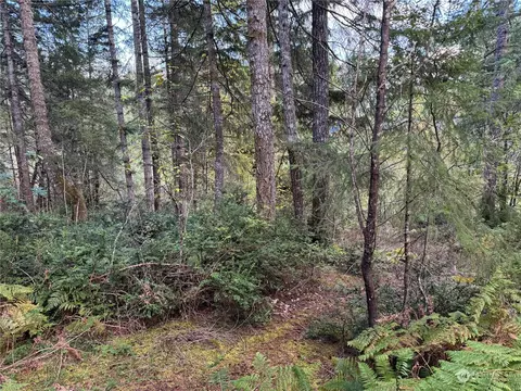 311 Emerald Lake Dr W, Grapeview, WA 98546 photo 3