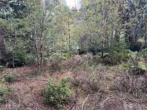 311 Emerald Lake Dr W, Grapeview, WA 98546 photo 4