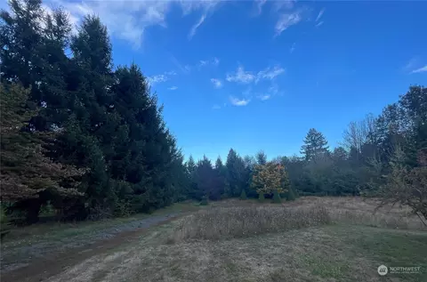 159 Hendrickson Rd, Vader, WA 98593 photo 36