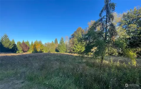 159 Hendrickson Rd, Vader, WA 98593 photo 27
