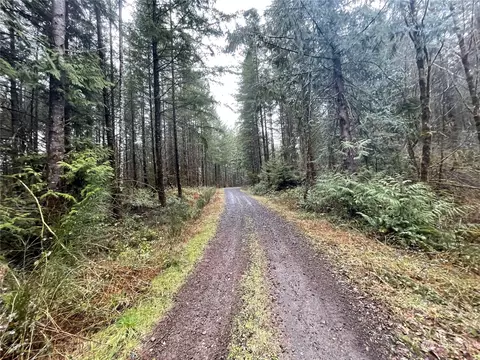 0 NE Lot A Ne Westerholm Rd, Brush Prairie, WA 98606