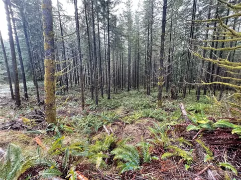 0 NE Lot D Ne Westerholm Rd, Brush Prairie, WA 98606