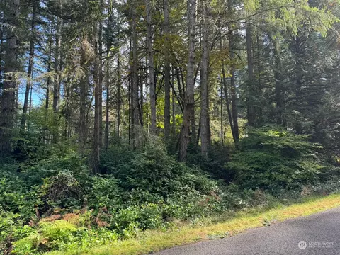 11503 Lake Josephine Ave, Anderson Island, WA 98303