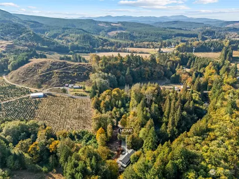 133 Maschke Rd, Vader, WA 98593 photo 37