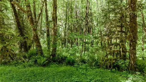 99992 Dowans Creek Rd, Forks, WA 98331