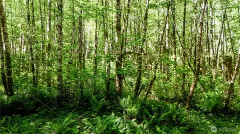 99993 Dowans Creek Rd, Forks, WA 98331