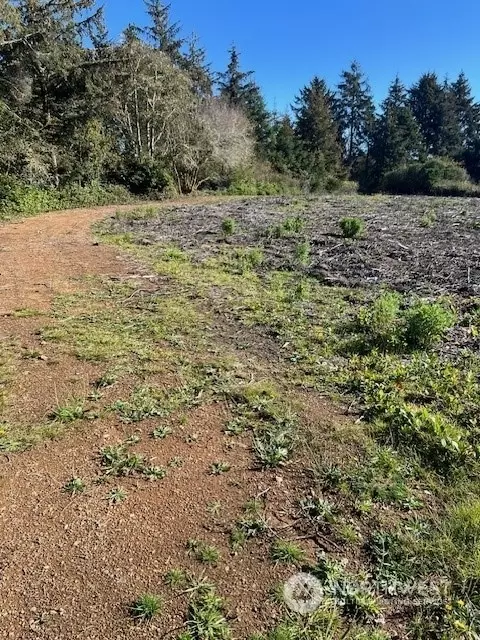 498 Canal Dr SE, Ocean Shores, WA 98569
