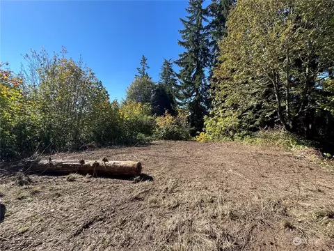 0 Minor #LOT 1, Kelso, WA 98626