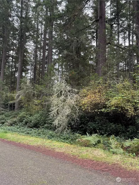 10916 Suncrest Dr, Anderson Island, WA 98303
