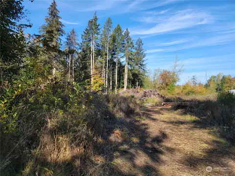 209 346th St S, Roy, WA 98580