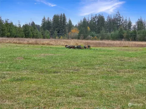 103 Josephine Loop, Onalaska, WA 98570 photo 28