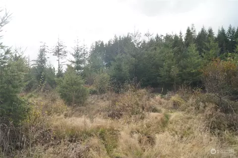 0 W Off Of W Ford Loop Rd, Elma, WA 98541