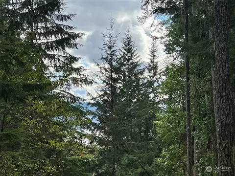 200 N Will Webb Rd, Lilliwaup, WA 98555