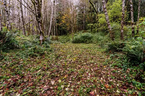 0 Nnn Wynooche Valley Rd, Montesano, WA 98563