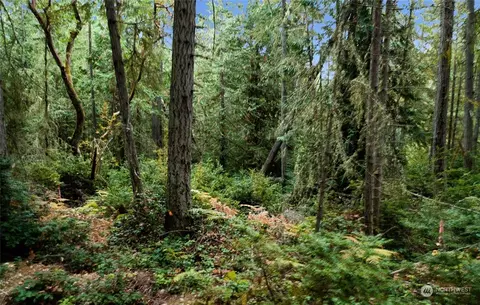 11419 Guthrie Rd, Anderson Island, WA 98303