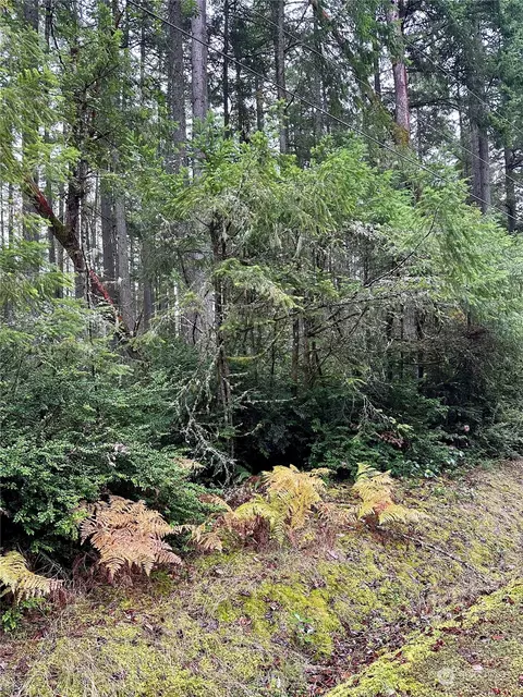 9521 115th Avenue Ct, Anderson Island, WA 98303