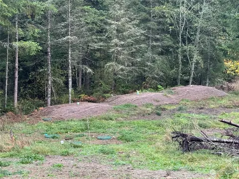 404 Craig Rd, Sequim, WA 98382 photo 3