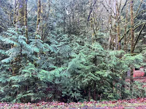 20 Twin Flower Cir, Bellingham, WA 98229