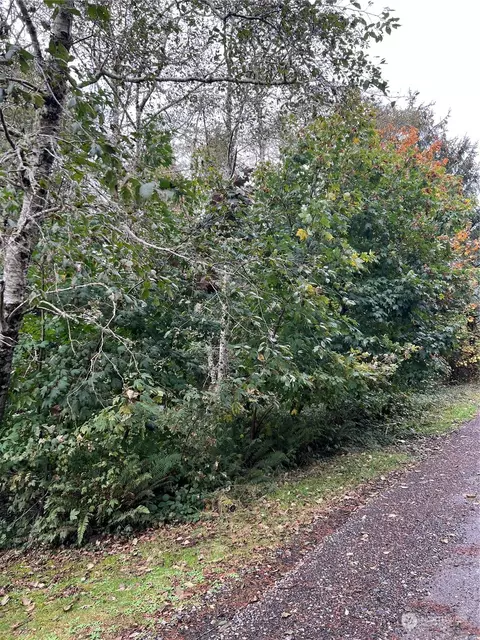 28901 X Ln, Ocean Park, WA 98640