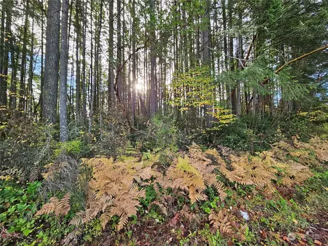 0 NE Larson Lake Rd, Belfair, WA 98528