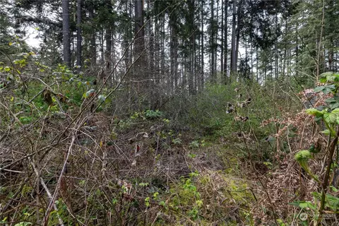 0 95th Avenue Ct E, Graham, WA 98338