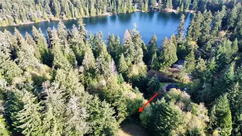10011 108th Avenue Ct, Anderson Island, WA 98303