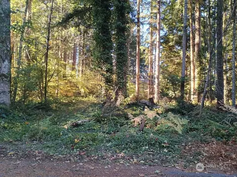 17621 N Beachside Dr SE, Yelm, WA 98597
