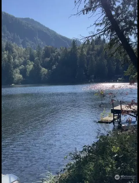 View/Area - 37312 W Lake Walker Dr SE, Enumclaw, WA 98022 photo 8 of 9