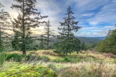 0 Rustic Homestead- Sw1 Ln, Orcas Island, WA 98245